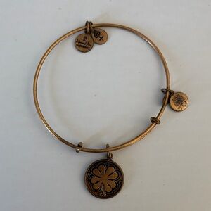 Alex and Ani Gold Charm Bracelet